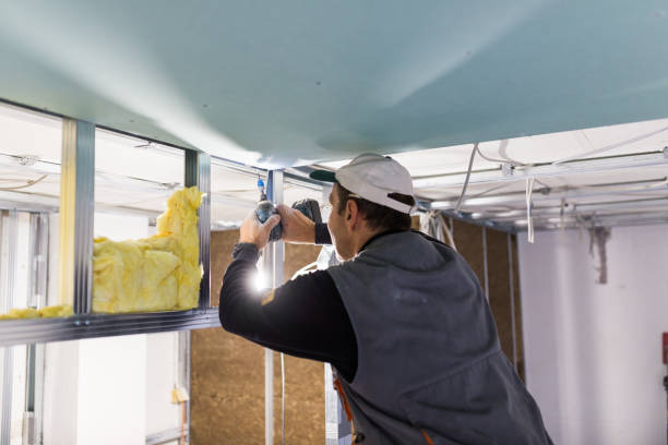 Best Insulation Removal  in Cornelius, NC