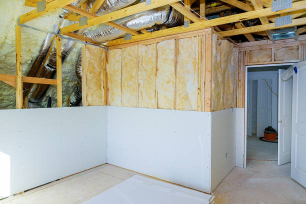 Best Home Insulation Services  in Cornelius, NC