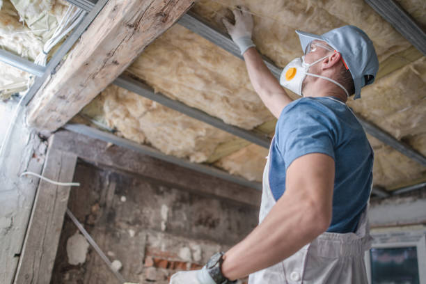 Best Insulation for New Construction  in Cornelius, NC