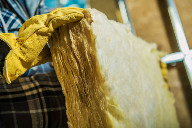 Best Insulation Contractor Near Me  in Cornelius, NC