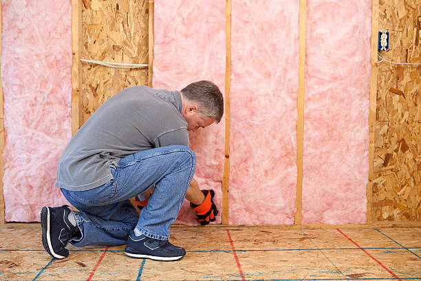 Best Insulation Repair Services  in Cornelius, NC